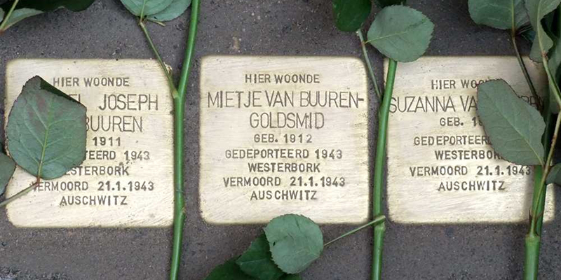 Drie Stolpersteine voor de familie Van Buuren, met rozen ertussen
